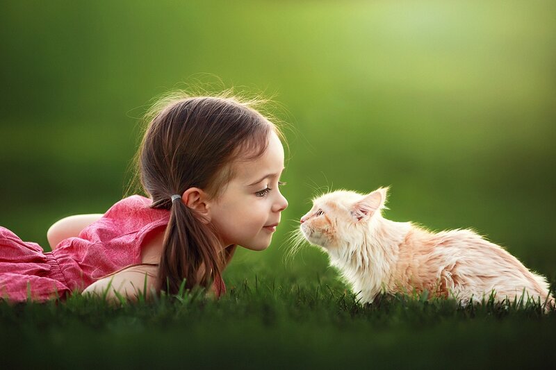 Girl and Cat on Grass