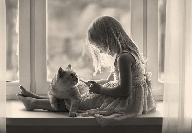 Girl and Cat on Windowsill — Black, Serene