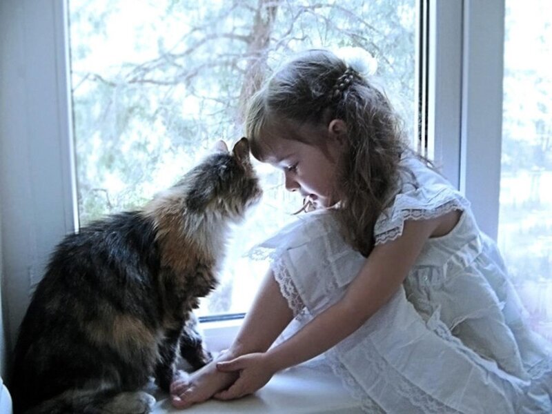Girl and Cat on Windowsill