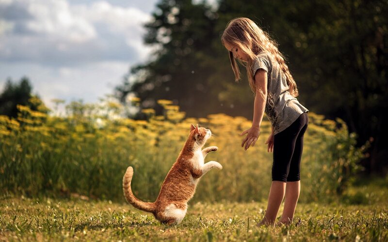 Girl and Cat Playing