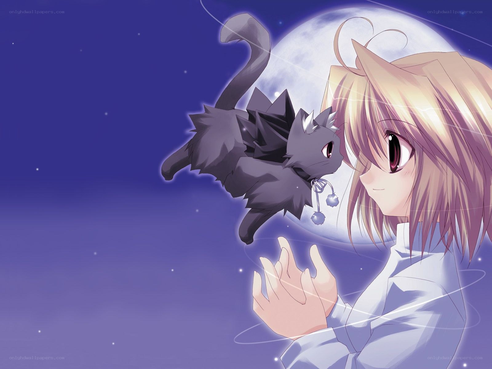 girl and cat under moonlight