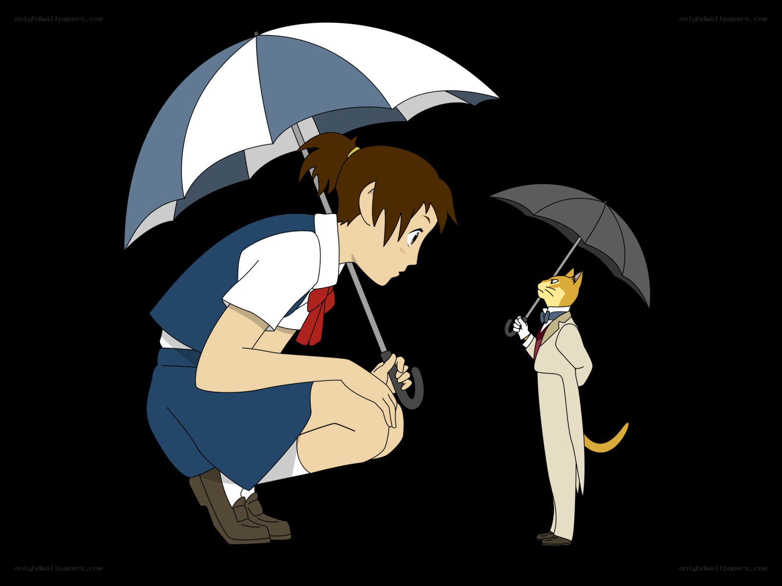 Girl and cat with umbrellas
