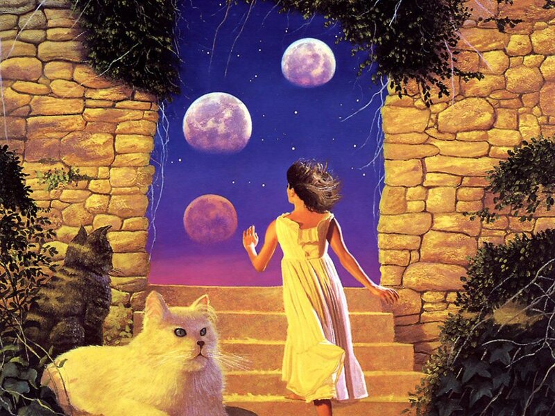 Girl and Cats at Night