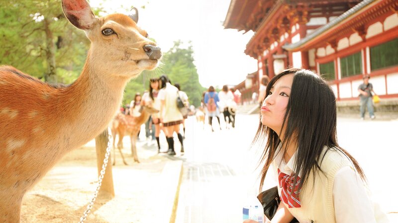 Girl and deer at temple