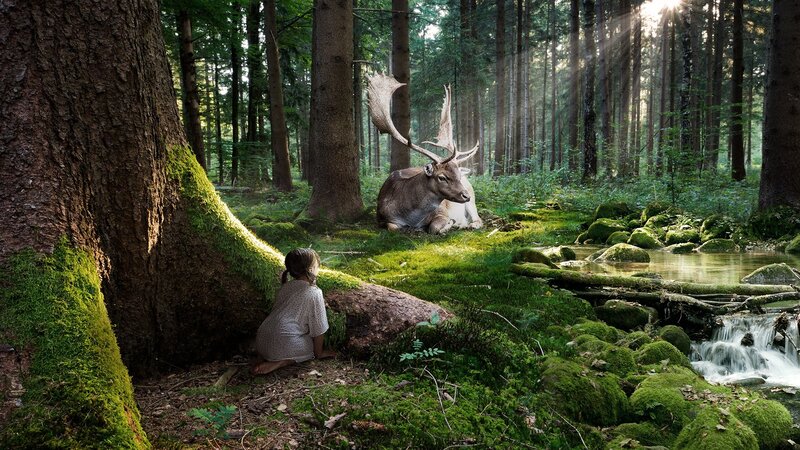 Girl and deer in forest