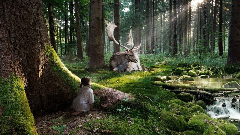 Girl and deer in forest