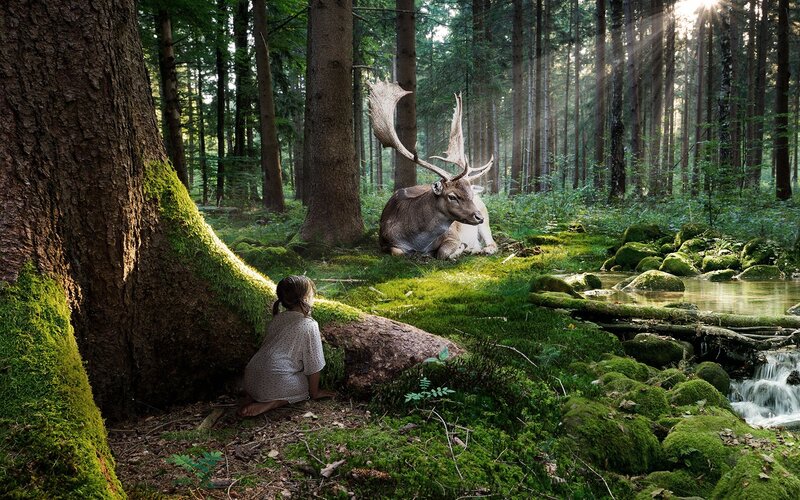 Girl and deer in forest