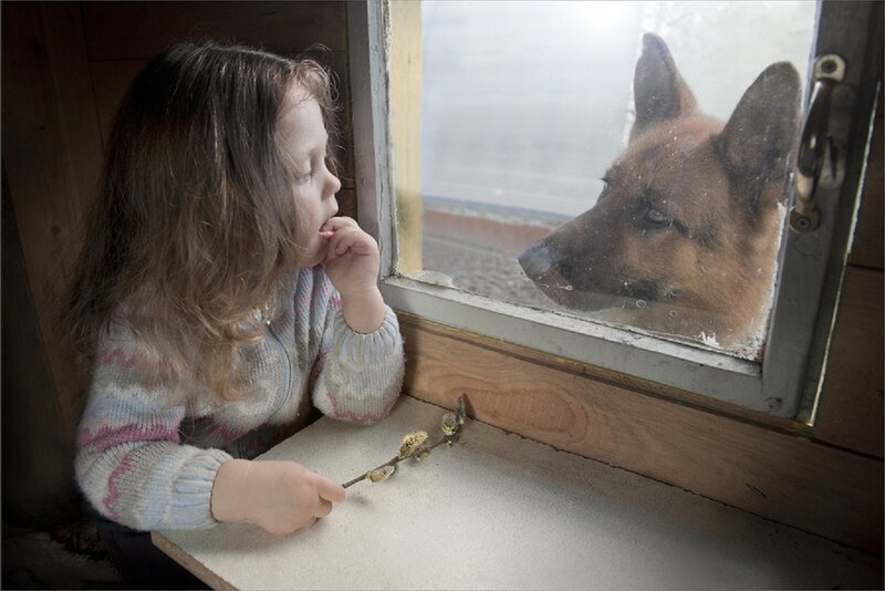 Girl and Dog at Window