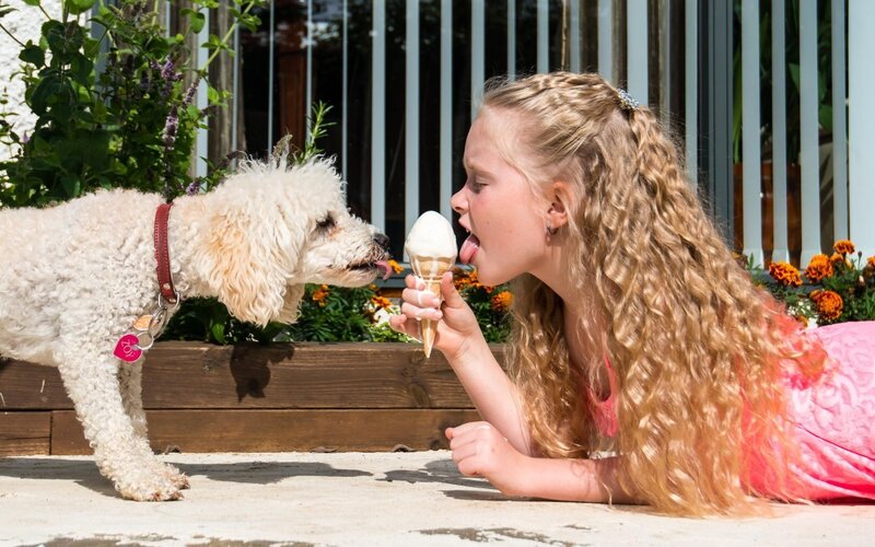 Girl and Dog Eating Ice Cream