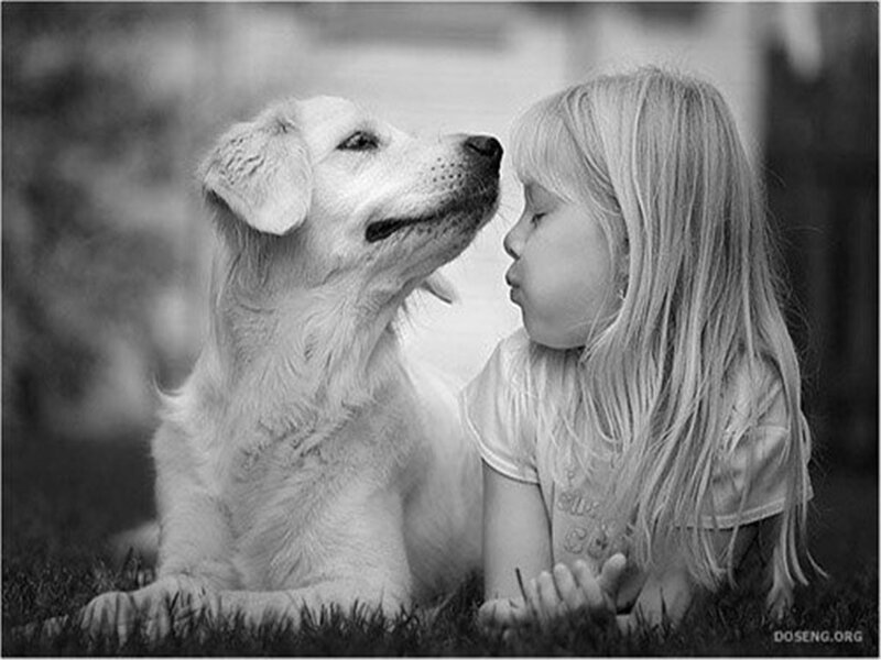 Girl and Dog Face to Face