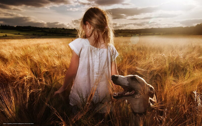 Girl and dog in wheat field