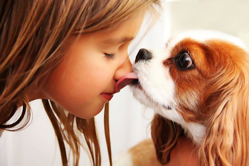 Girl and Dog Licking