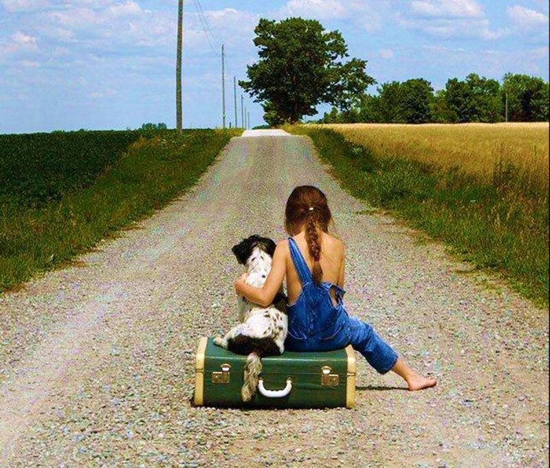 Girl and dog on a road