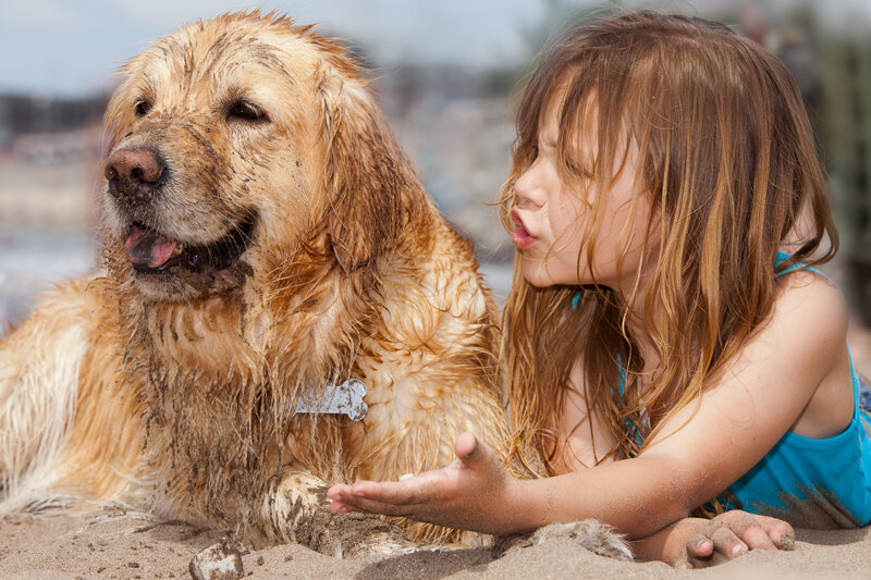 Girl and Dog on Beach — Brown