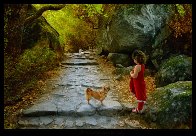 Girl and Dog on Path