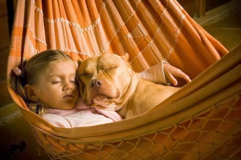 Girl and Dog Sleeping — Orange
