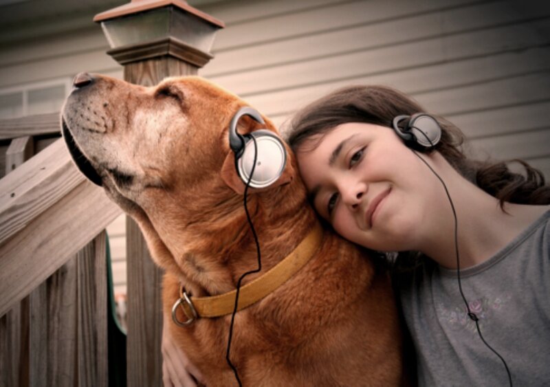Girl and Dog with Headphones