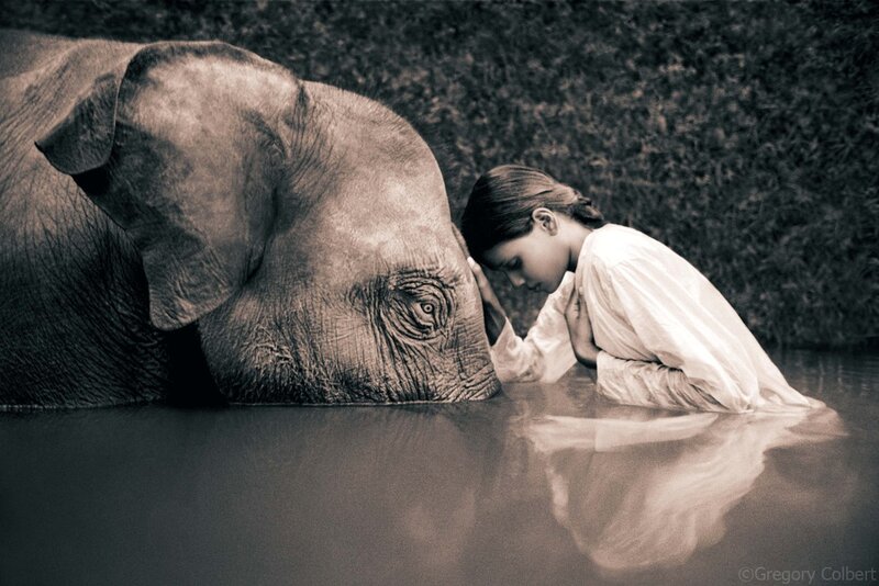 Girl and Elephant — Sepia