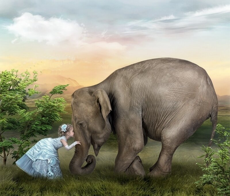 Girl and Elephant