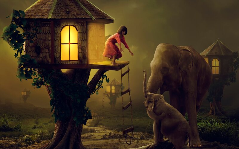 Girl and Elephants