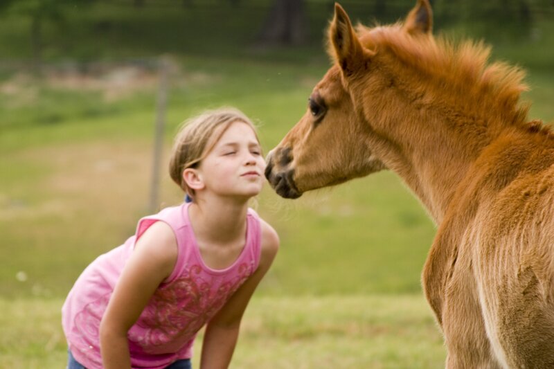 Girl and Foal