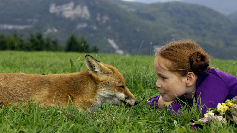 Girl and Fox in Field — Green