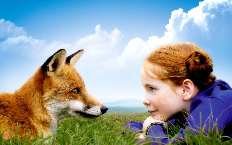 Girl and Fox in Field