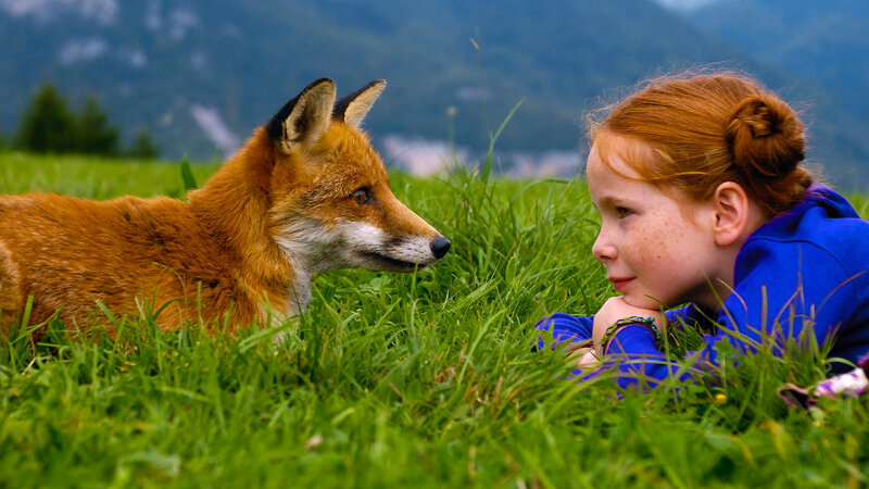 Girl and Fox in Grass — Green