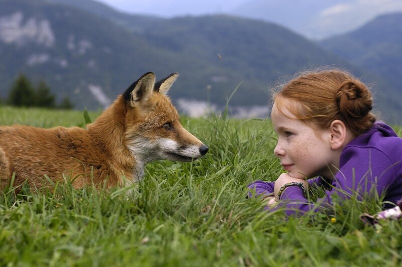 Girl and Fox in Grass