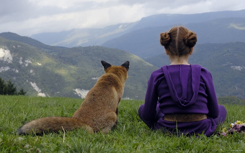 Girl and fox on a hill
