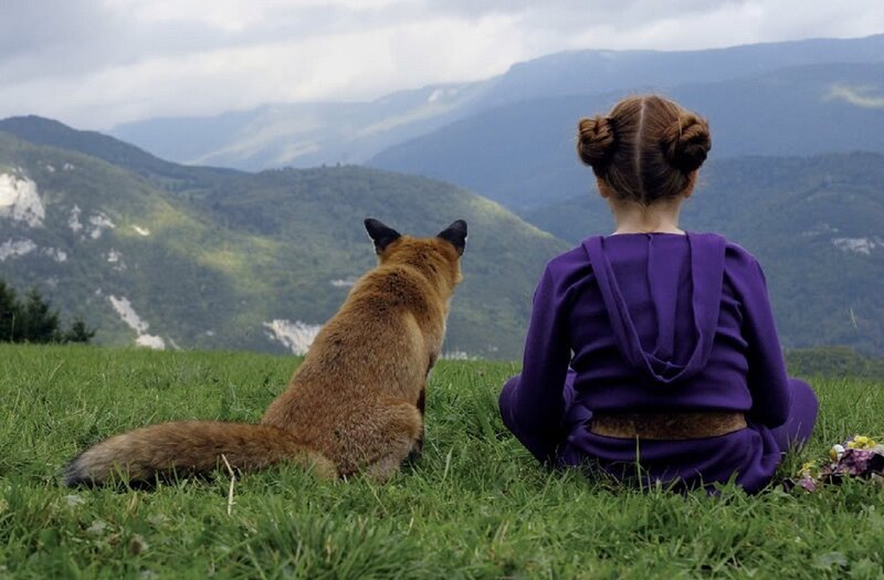 Girl and Fox on Hill