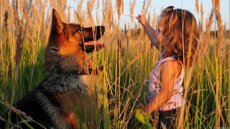 Girl and German Shepherd