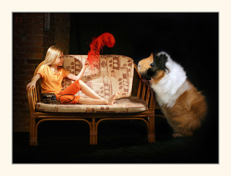 Girl and Guinea Pig