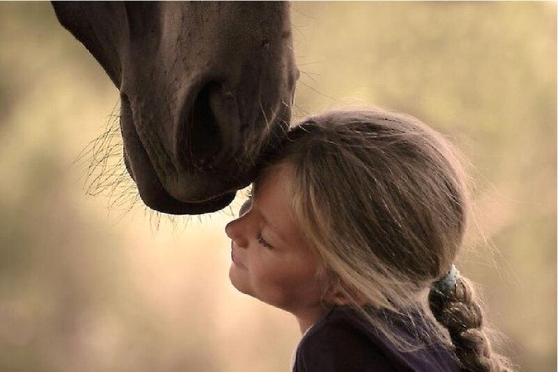Girl and Horse Nuzzling