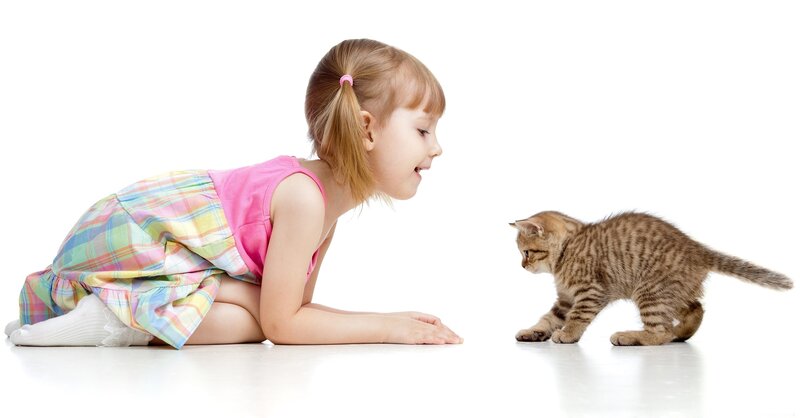 Girl and Kitten — White