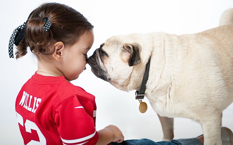 Girl and Pug Dog