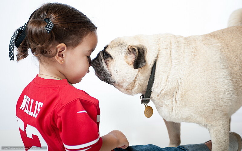 girl and pug touching noses