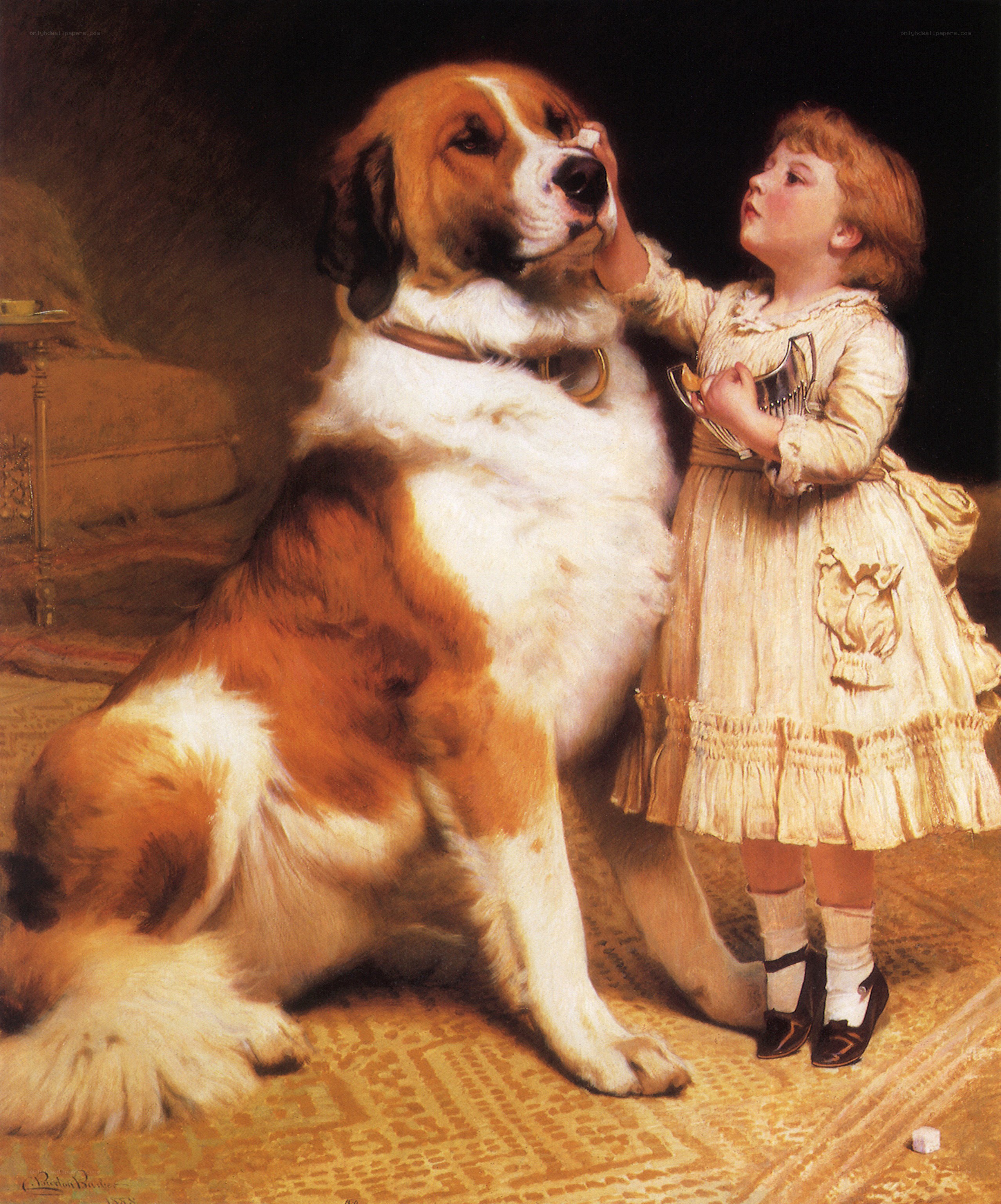 Girl and Saint Bernard dog
