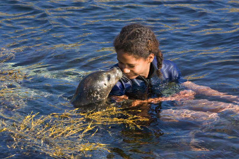 Girl and Seal in Water