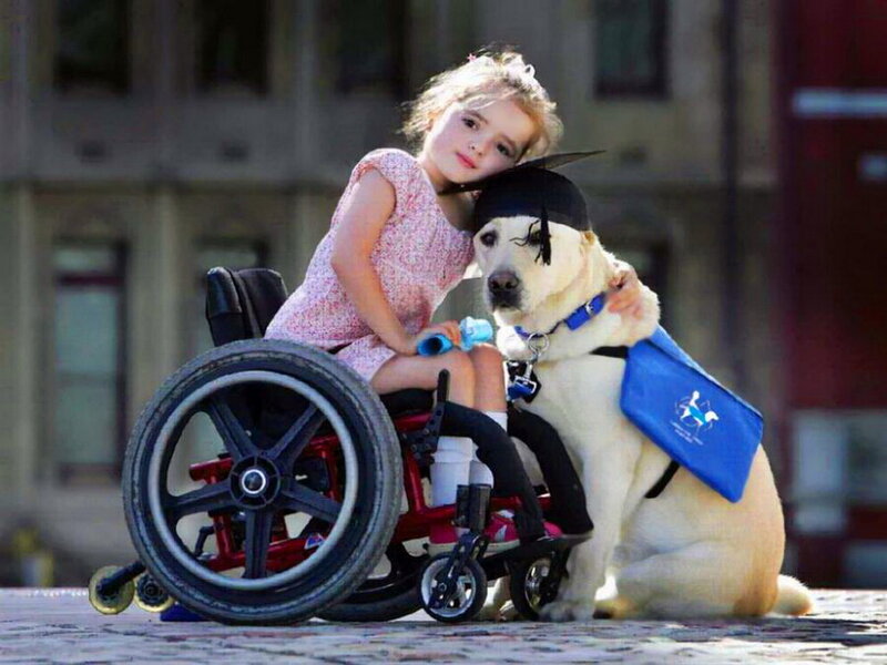 Girl and Service Dog