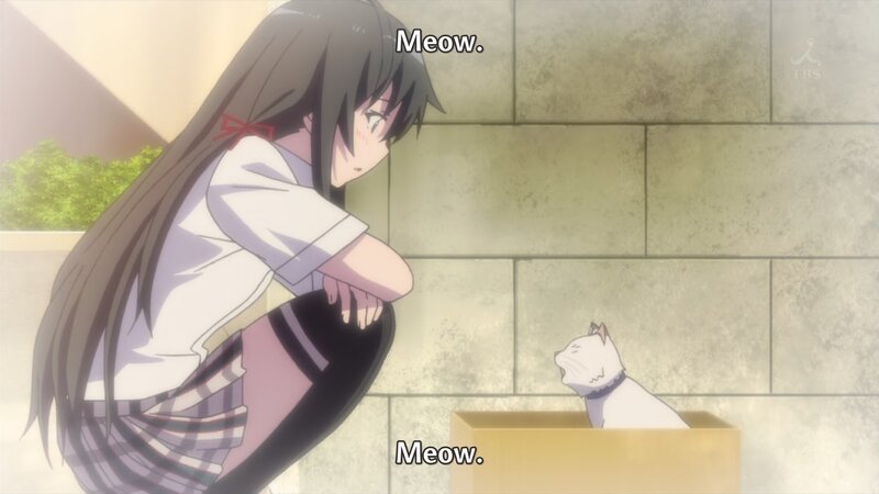 Girl and White Cat
