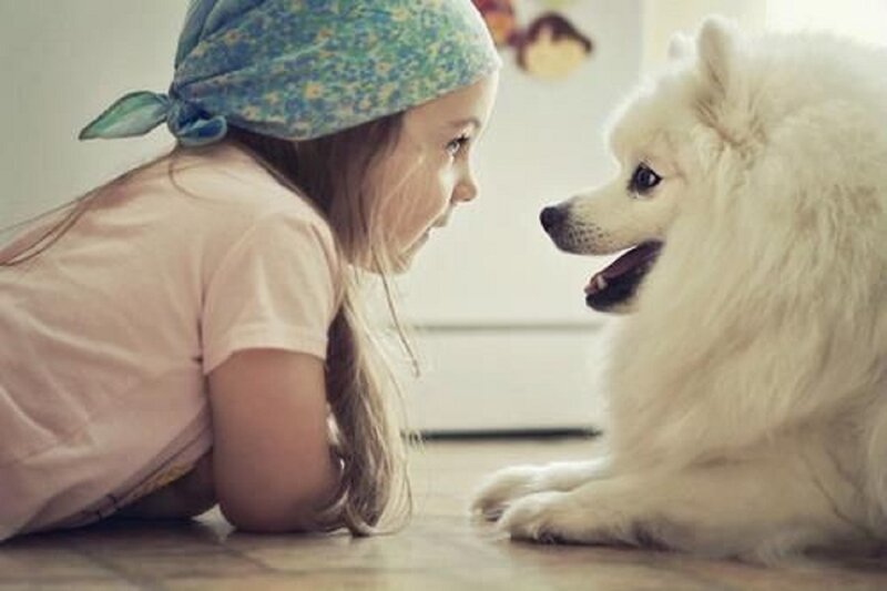 Girl and White Dog — Calm