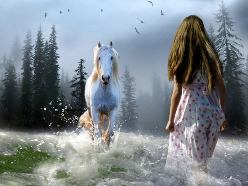 Girl and White Horse — Serene