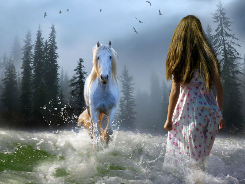 Girl and White Horse