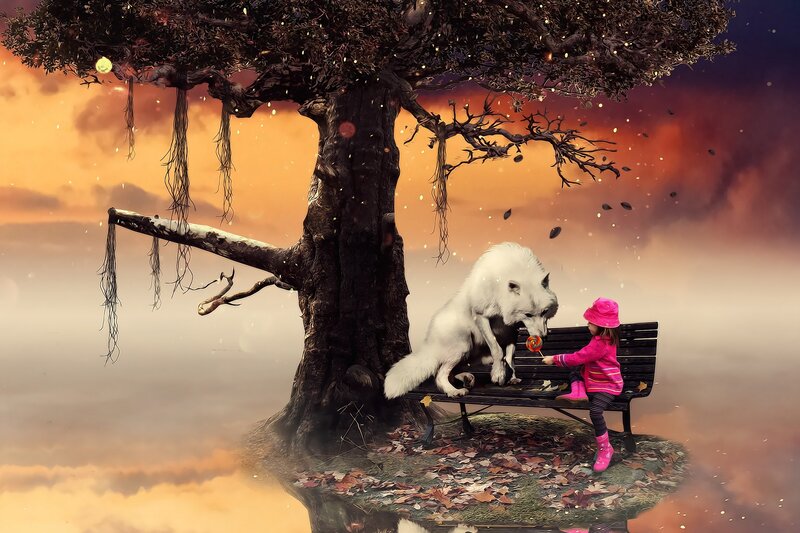 Girl and White Wolf — Orange