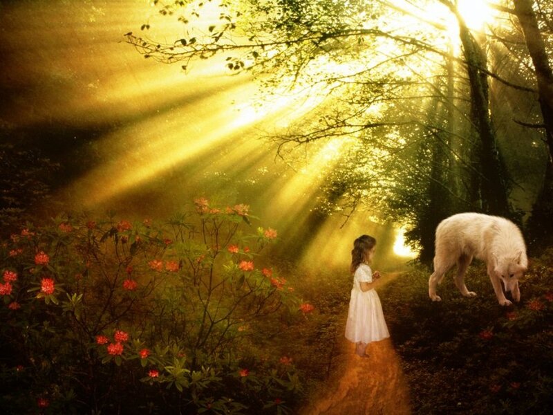 Girl and White Wolf — Yellow