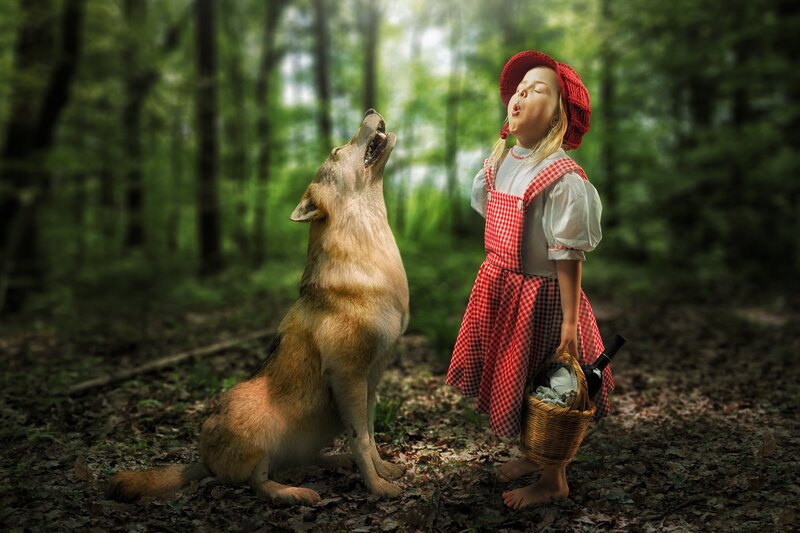 Girl and Wolf in Forest — Green