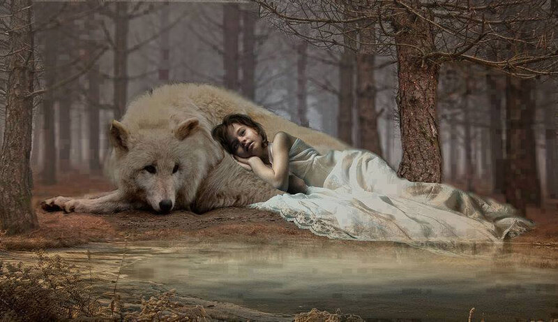 Girl and Wolf in Forest