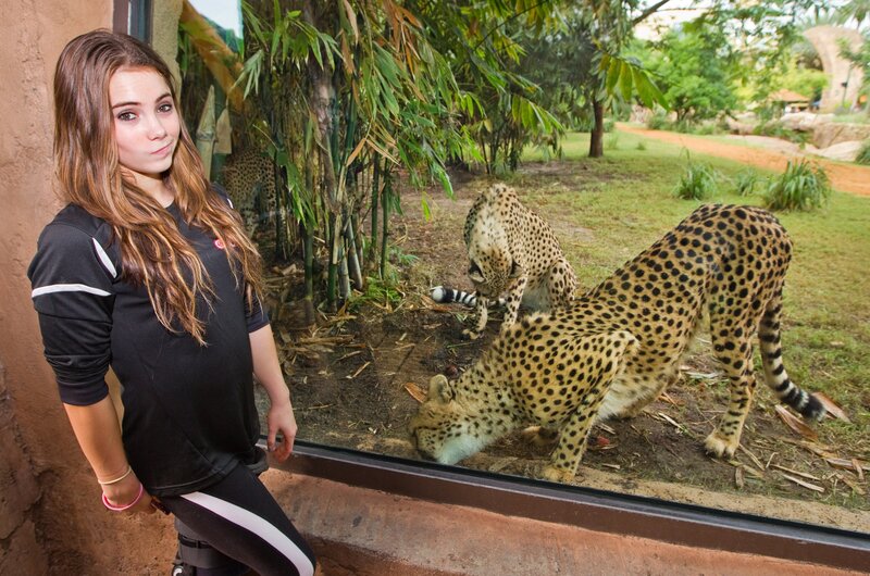Girl at cheetah enclosure