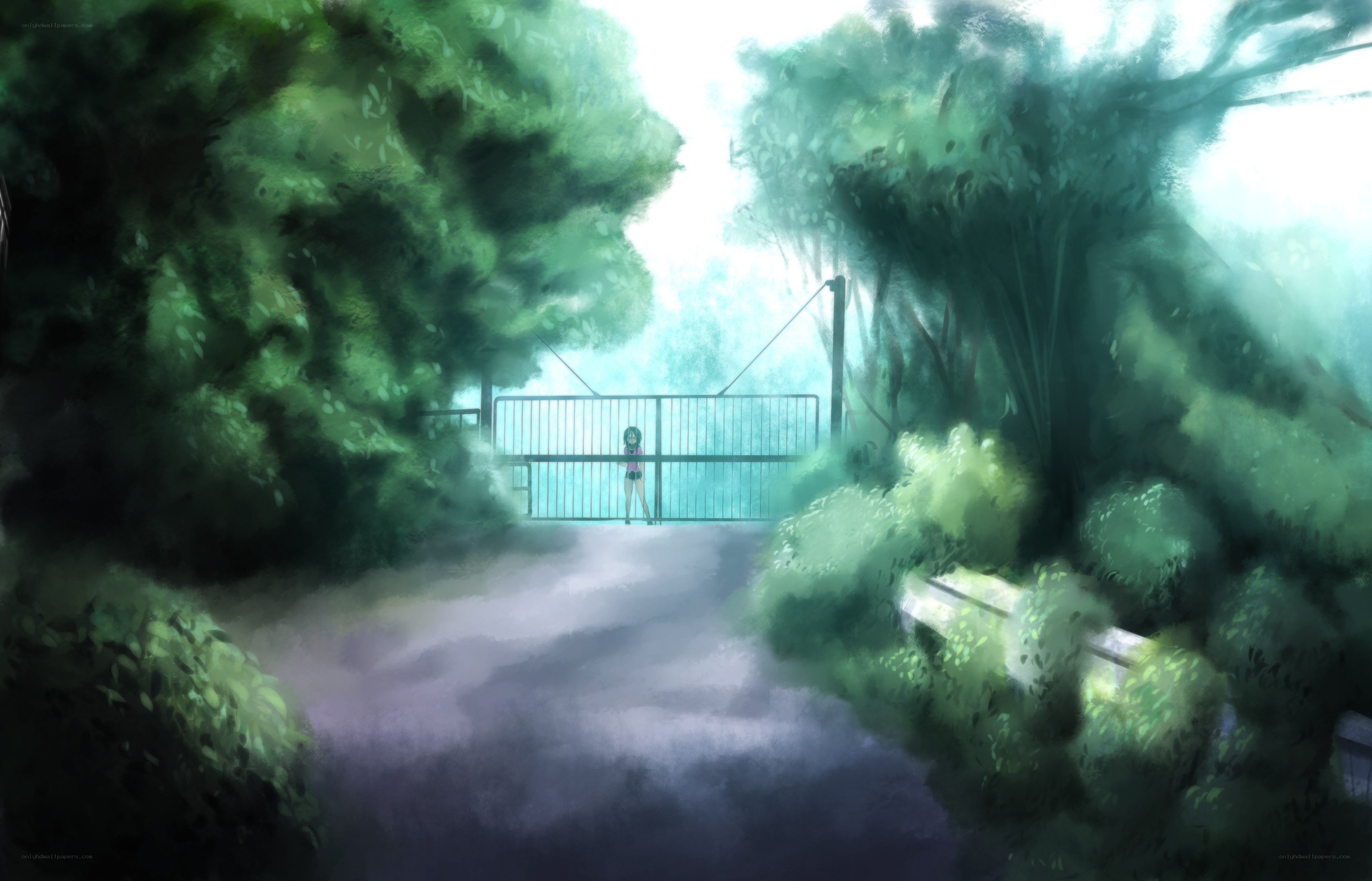 girl at gate in forest